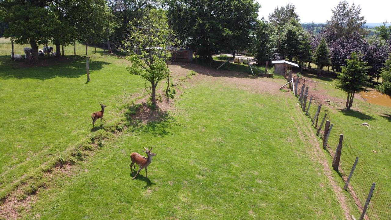 Brochepierre 28 Pers- Vue Exceptionnelle - Malmedy Villa Exteriör bild
